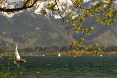 springtime on Chiemsee