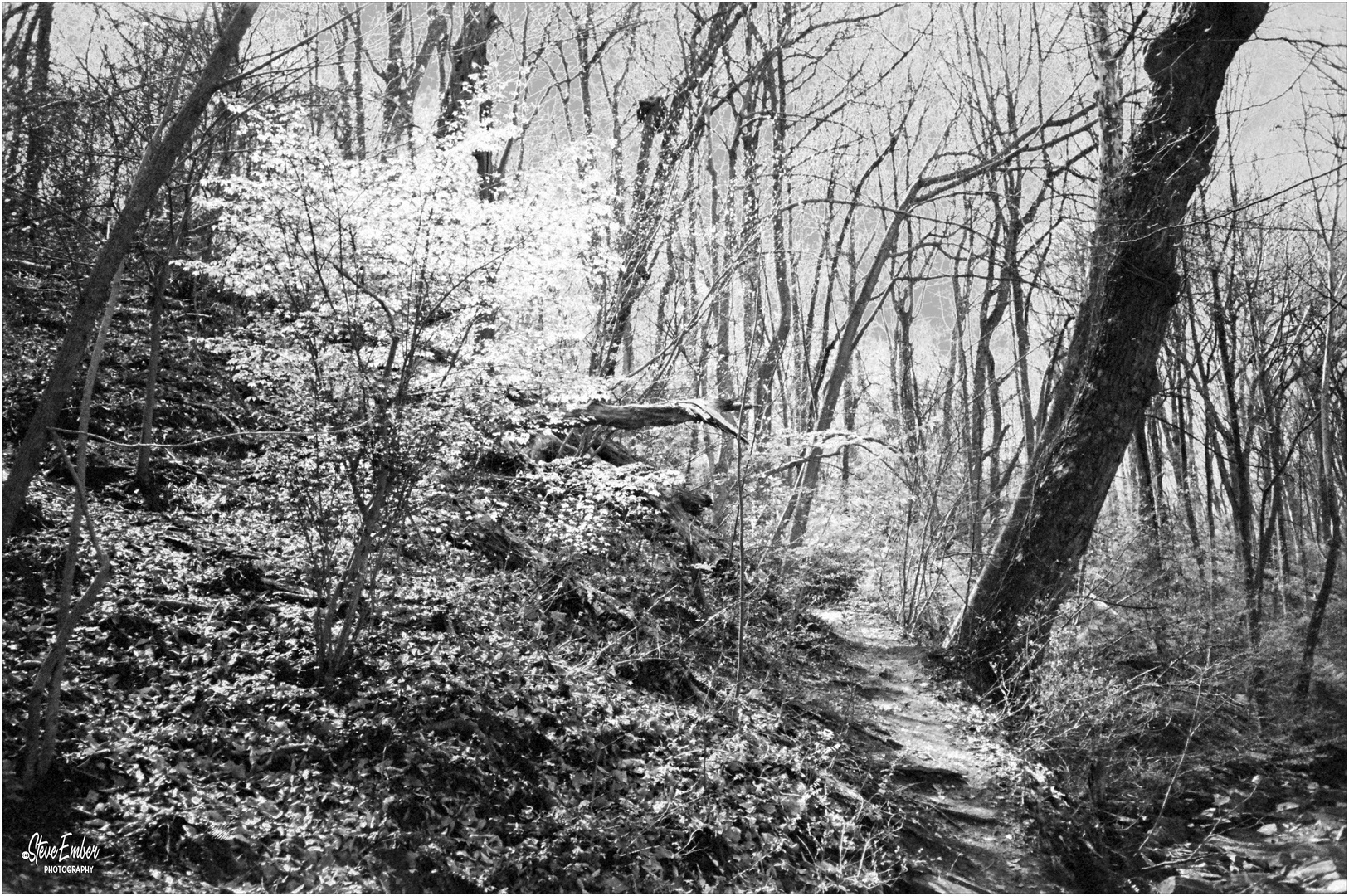 Springtime on Potomac Heritage Trail