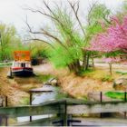 Springtime on the C & O Canal - A Potomac Impression 