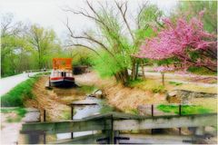 Springtime on the C & O Canal - A Potomac Impression 
