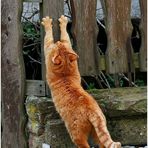 springtime stretching........