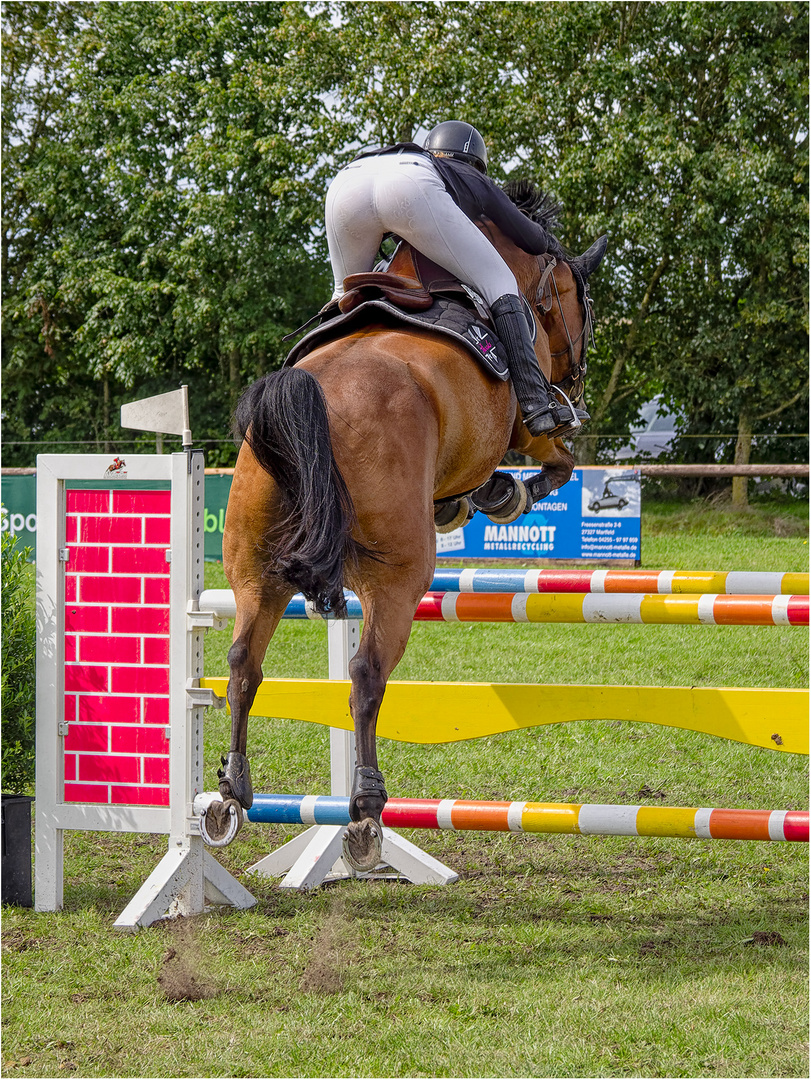 Springturnier beim RRV Schwarme