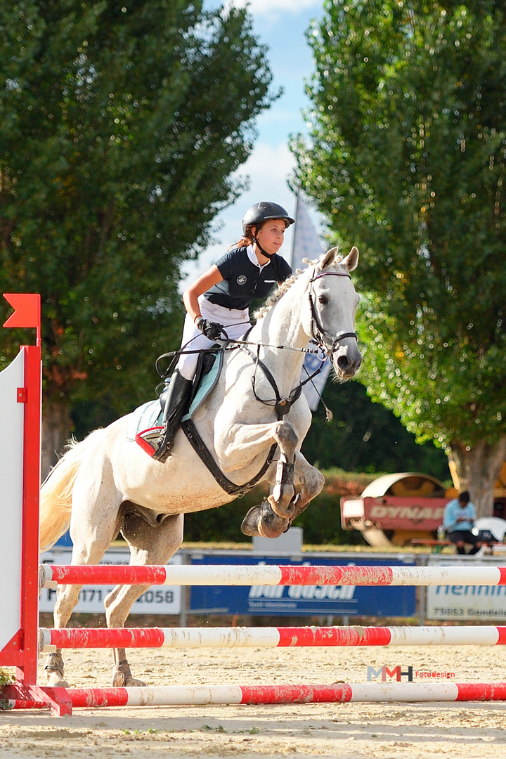 Springturnier Oberderdingen 2019 - 1