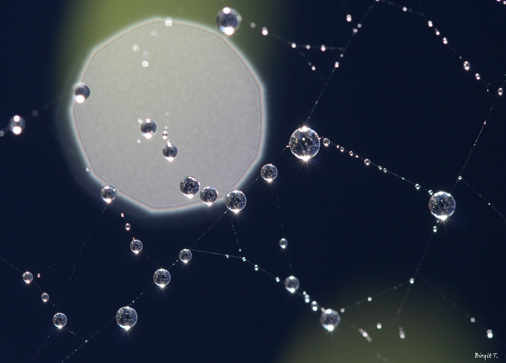 sprinkle of rain Foto & Bild sonstiges, wasser im detail, sonstige