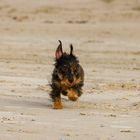 Sprint am Strand