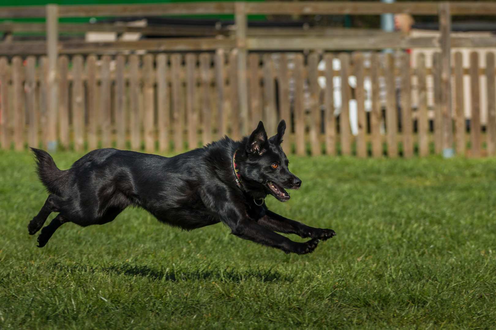 Sprint zum Ball