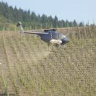 SPRITZEN DER WEINBERGE