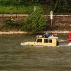 Spritztour auf dem Rhein