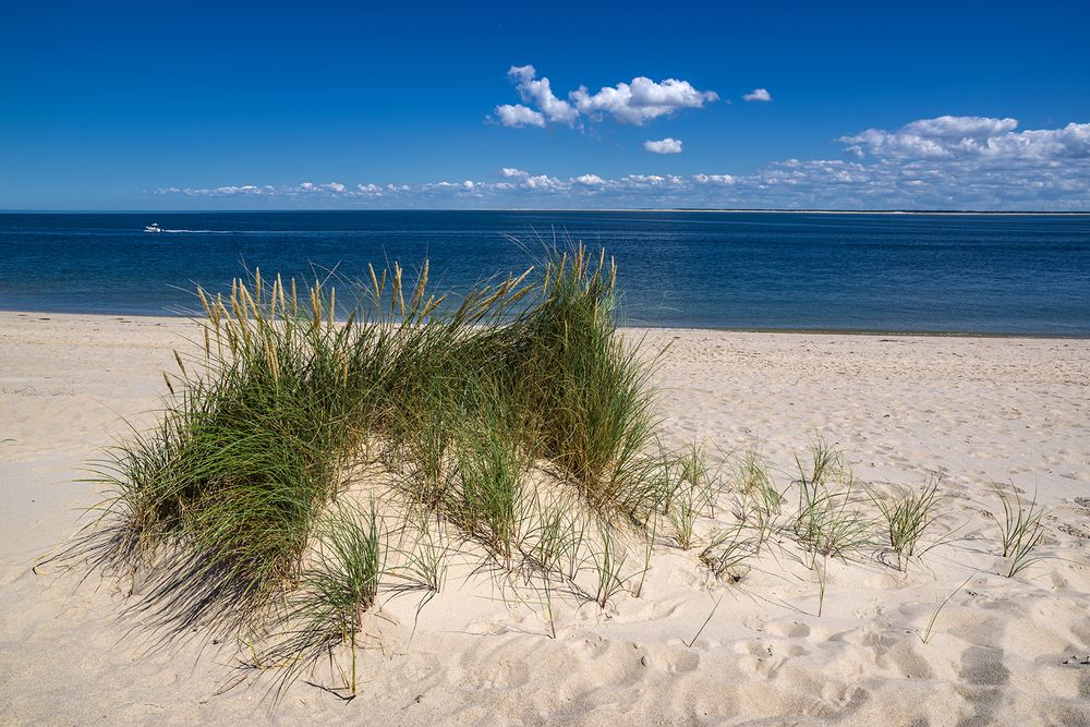 Spritztour zwischen Sylt und Rømø