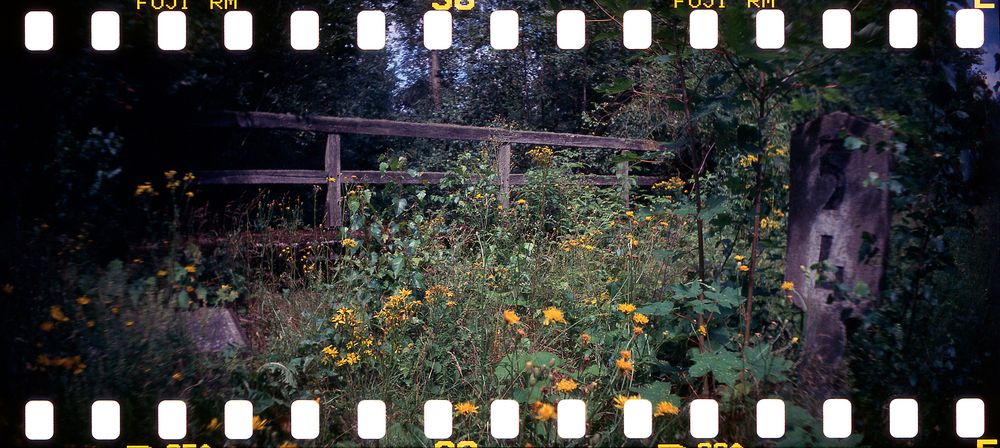 Sprocket Rocket Harz