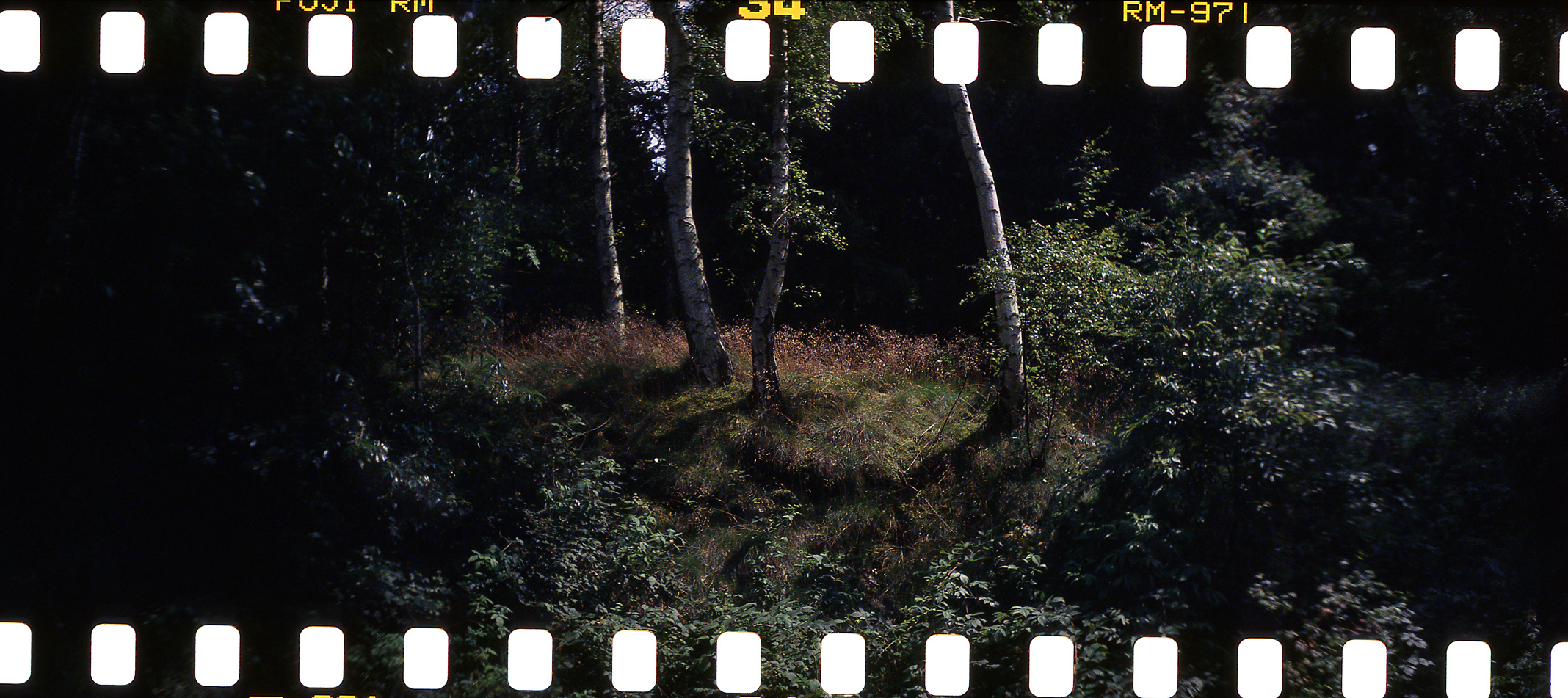 Sprocket Rocket Solling