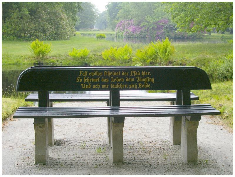 Spruch auf einer Parkbank im " Schloßpark Lütetsburg " Foto & Bild