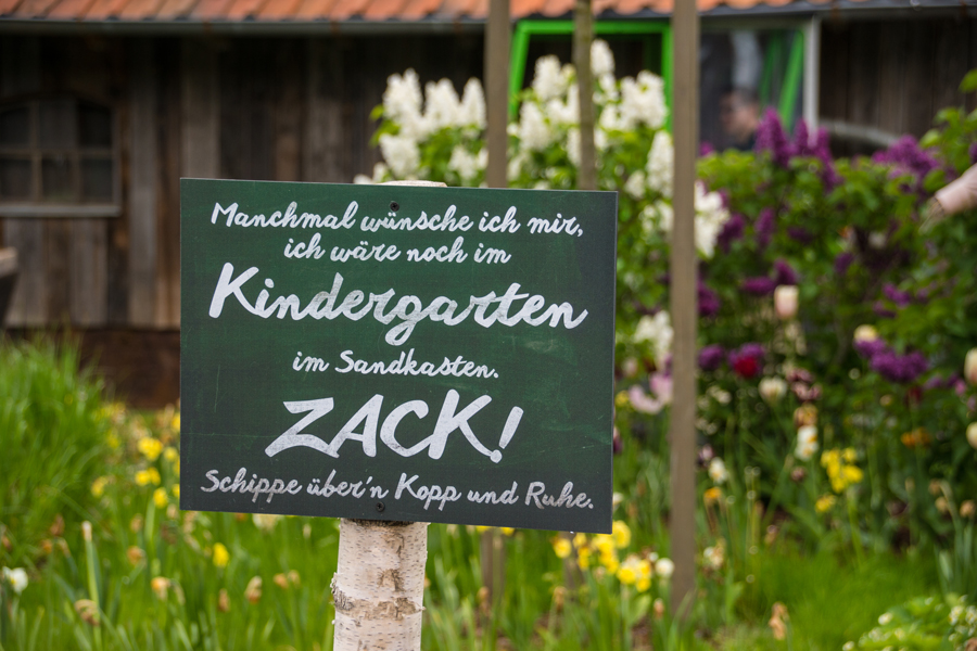 Spruch des Tages Foto &amp; Bild quatsch, fun und rätselecke, humorvolle