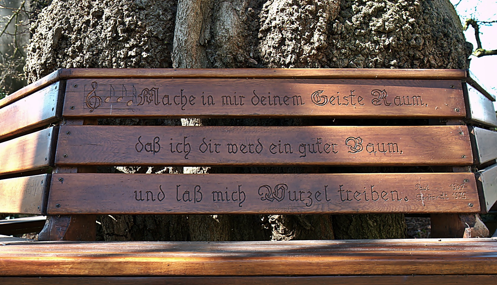 ~~~ Spruch des Tages ~~~