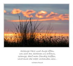 Spruch zum Mittwoch (02/13)