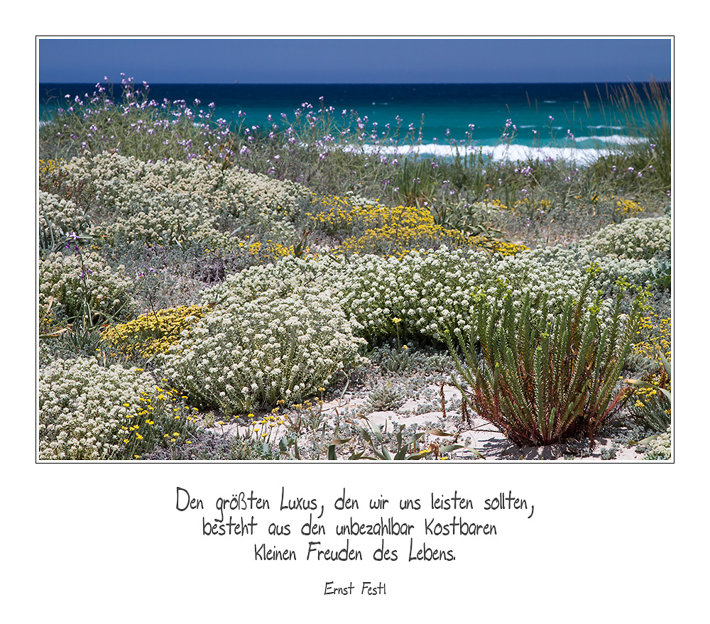 Spruch zum Mittwoch 03/14