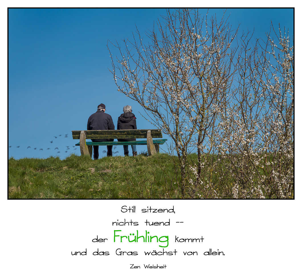 Get Schoener spruch fruehling For Android
