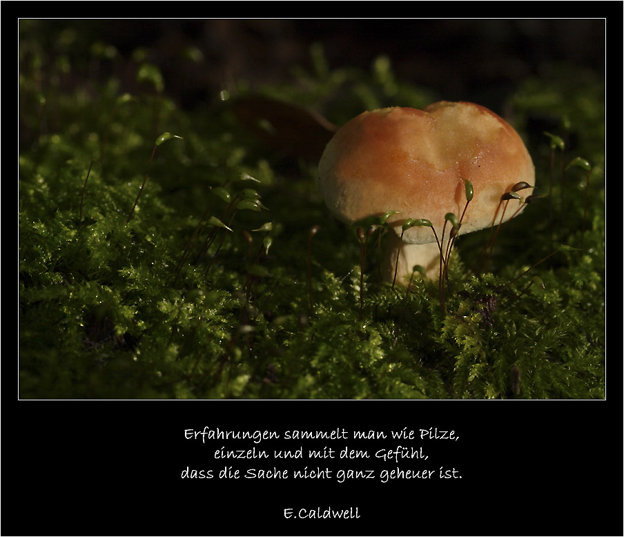 Get Sprueche erfahrungen sammeln Free HD