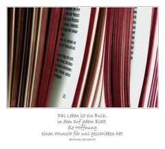 Spruch zum Mittwoch (KW 14/09)