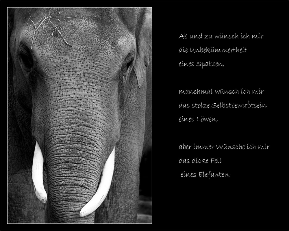 Spruch zum Mittwoch (KW 32/ 07)