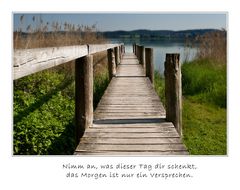 Spruch zum Mittwoch (KW18/11)