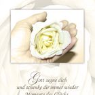 Spruchkarte / Eine Rose für dich mit Segenswunsch