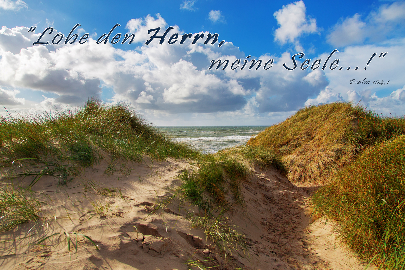 Spruchkarte "Lobe den Herrn, meine Seele!" Psalm 104,1