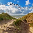 Spruchkarte "Lobe den Herrn, meine Seele!" Psalm 104,1