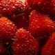 Sprudelbeeren