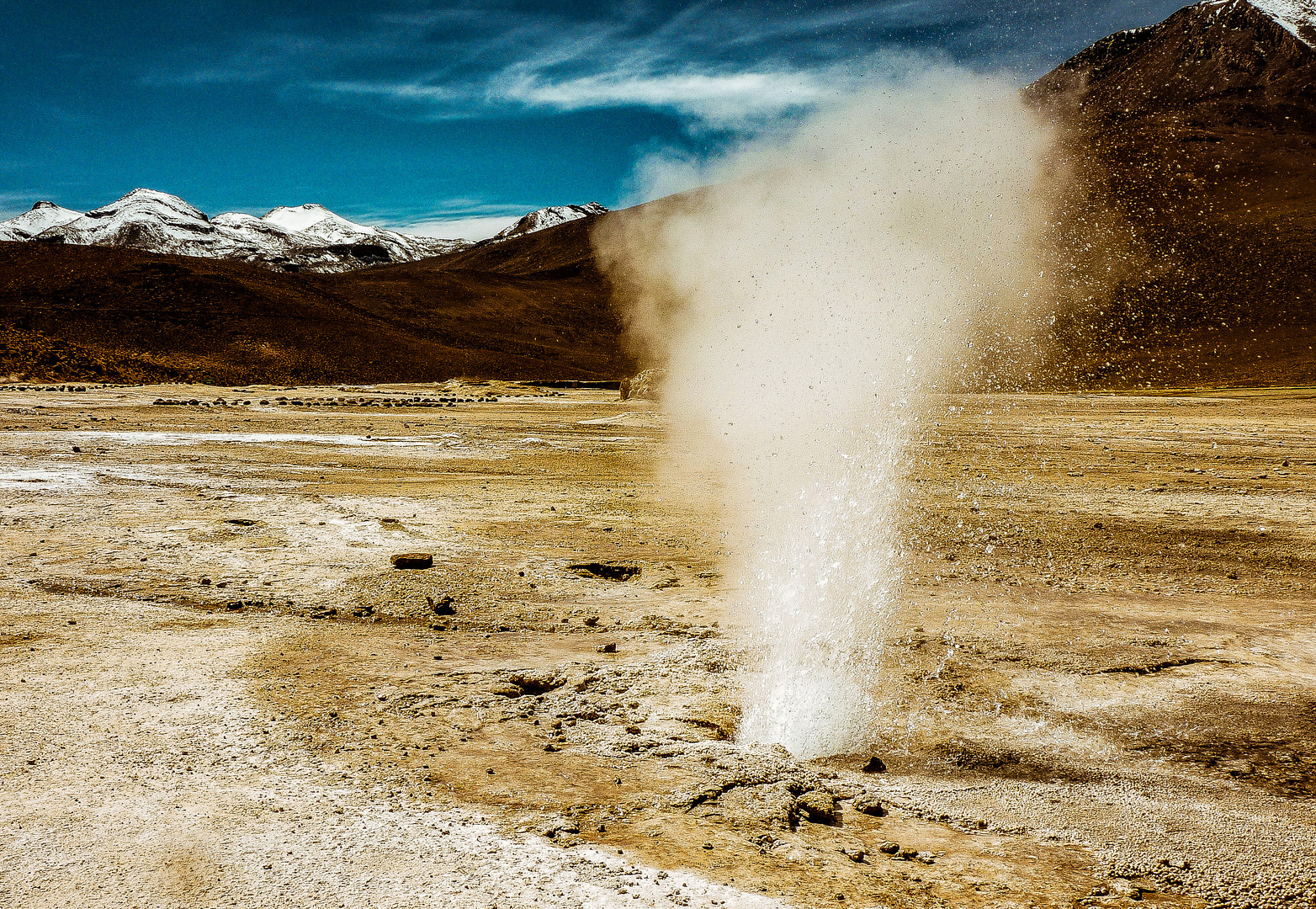 Sprudelnder Geysir am El Tatio