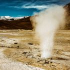 Sprudelnder Geysir am El Tatio