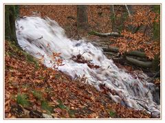 Sprudelnder Herbst