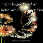 Sprüche und Zitate10