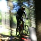 Sprung - Downhill Cup Rittershausen