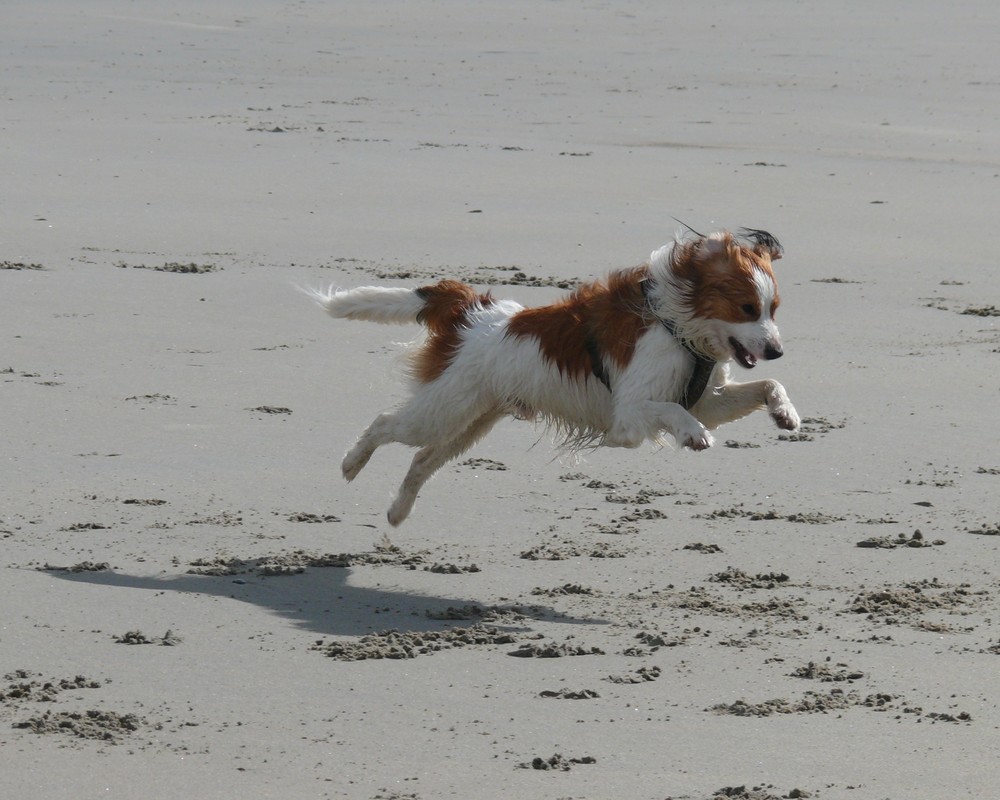 Sprung im Sand