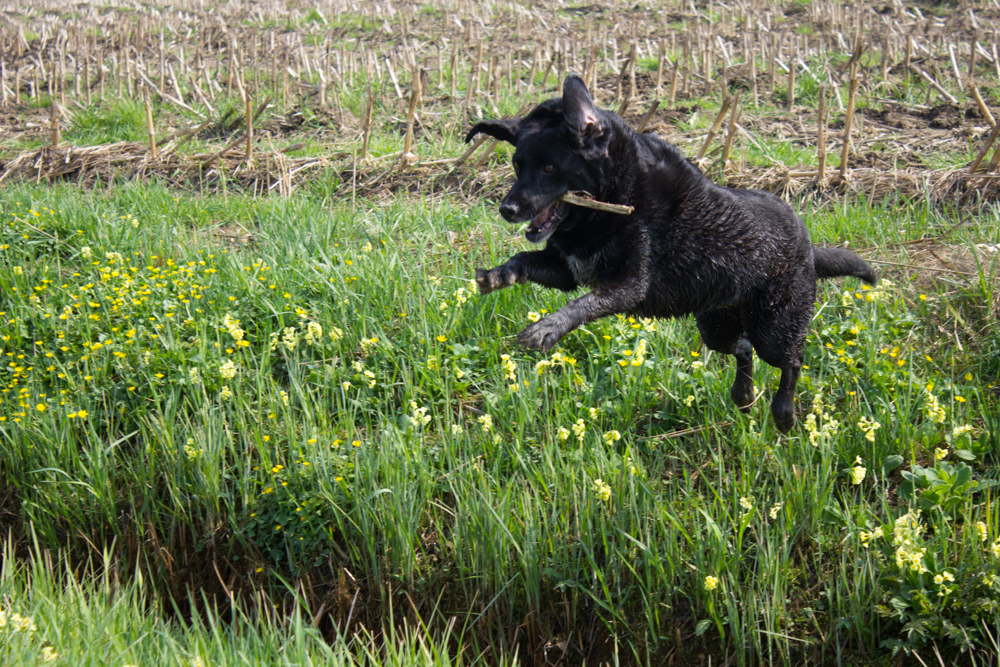 Sprung in den Frühling