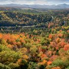 Sprung in den Herbst