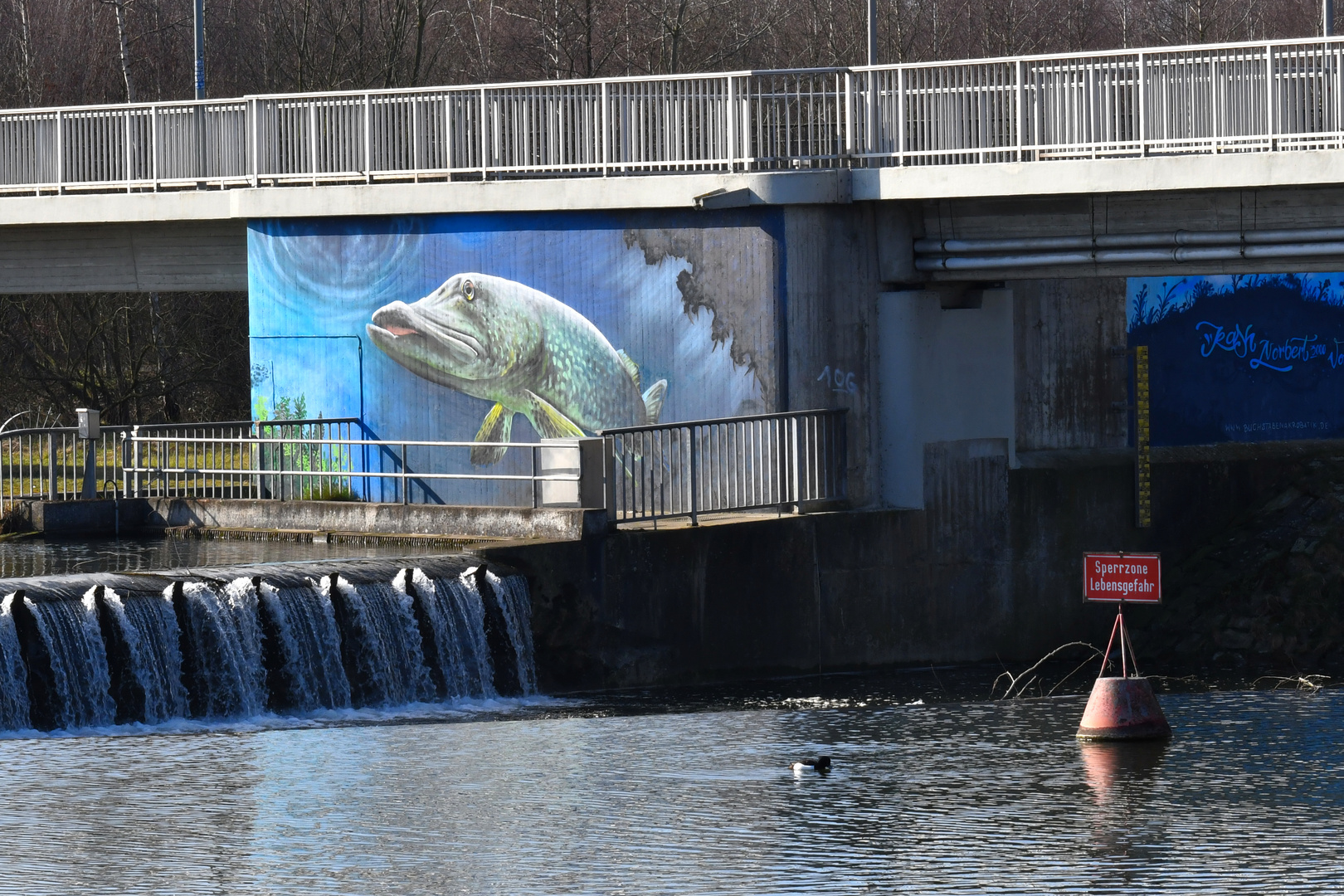 Sprung in den See