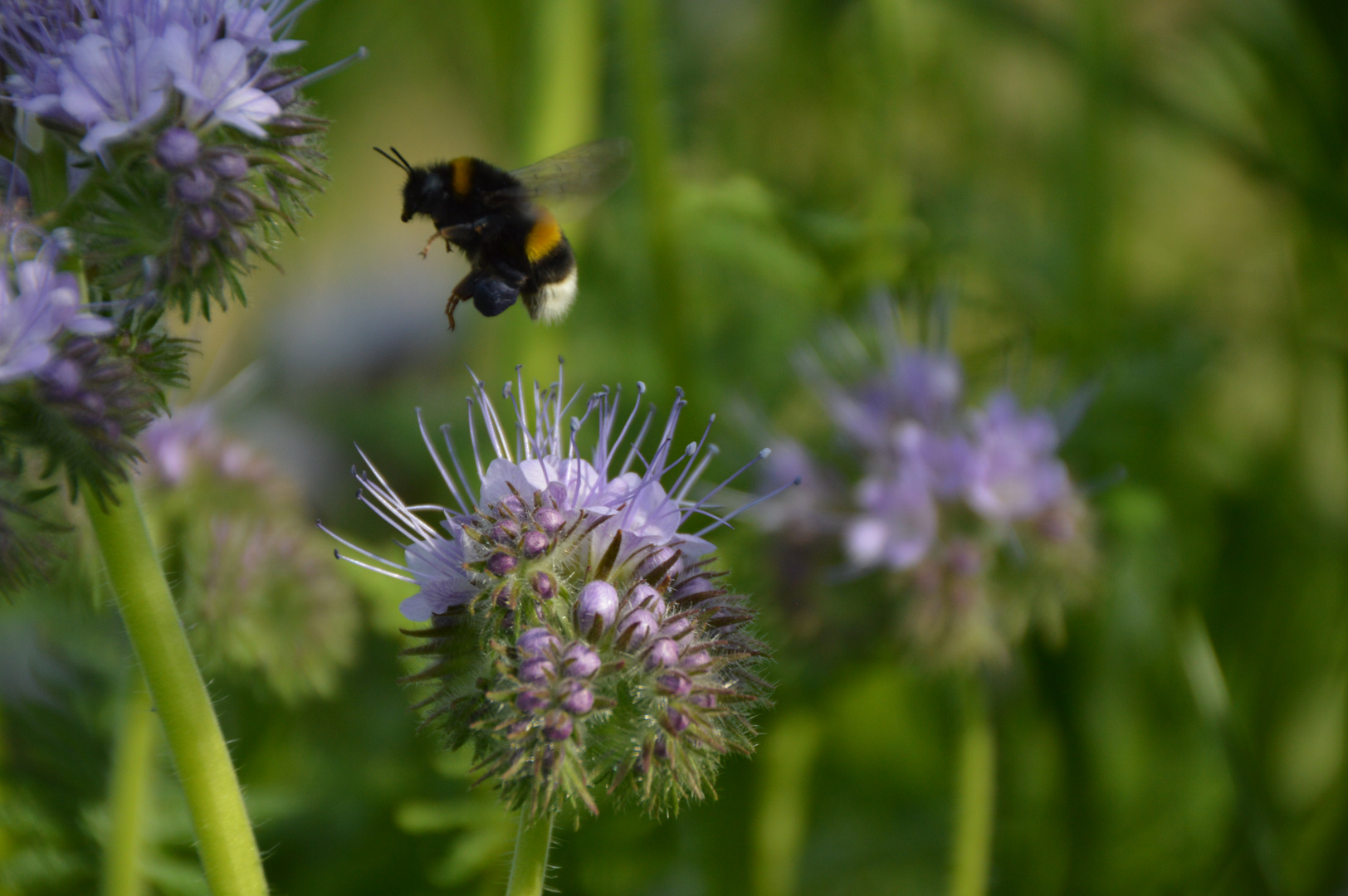 Sprung ins Blaue