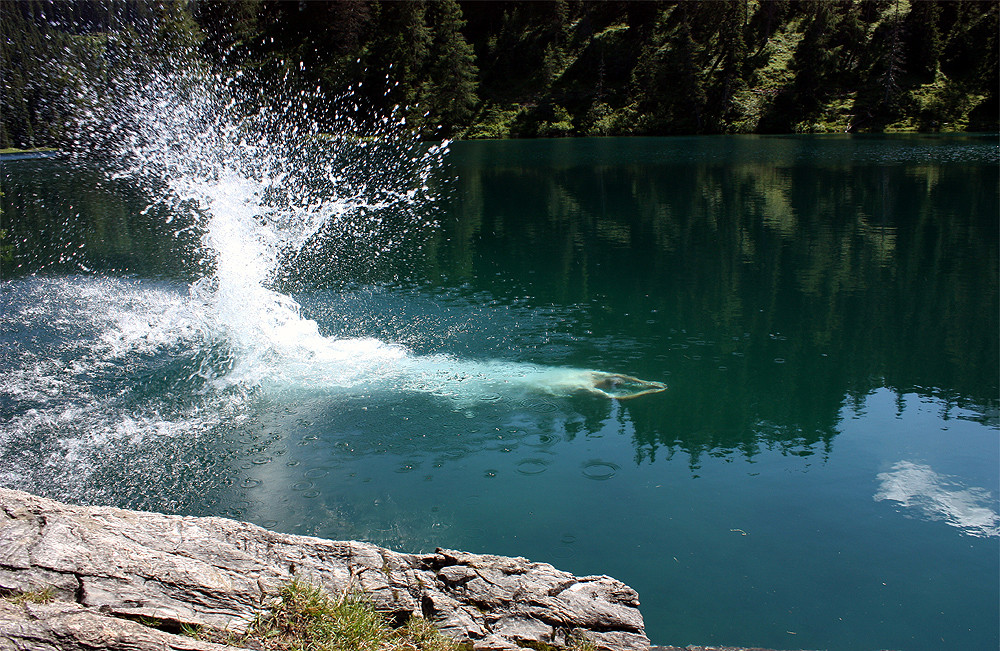 Sprung ins kalte Wasser