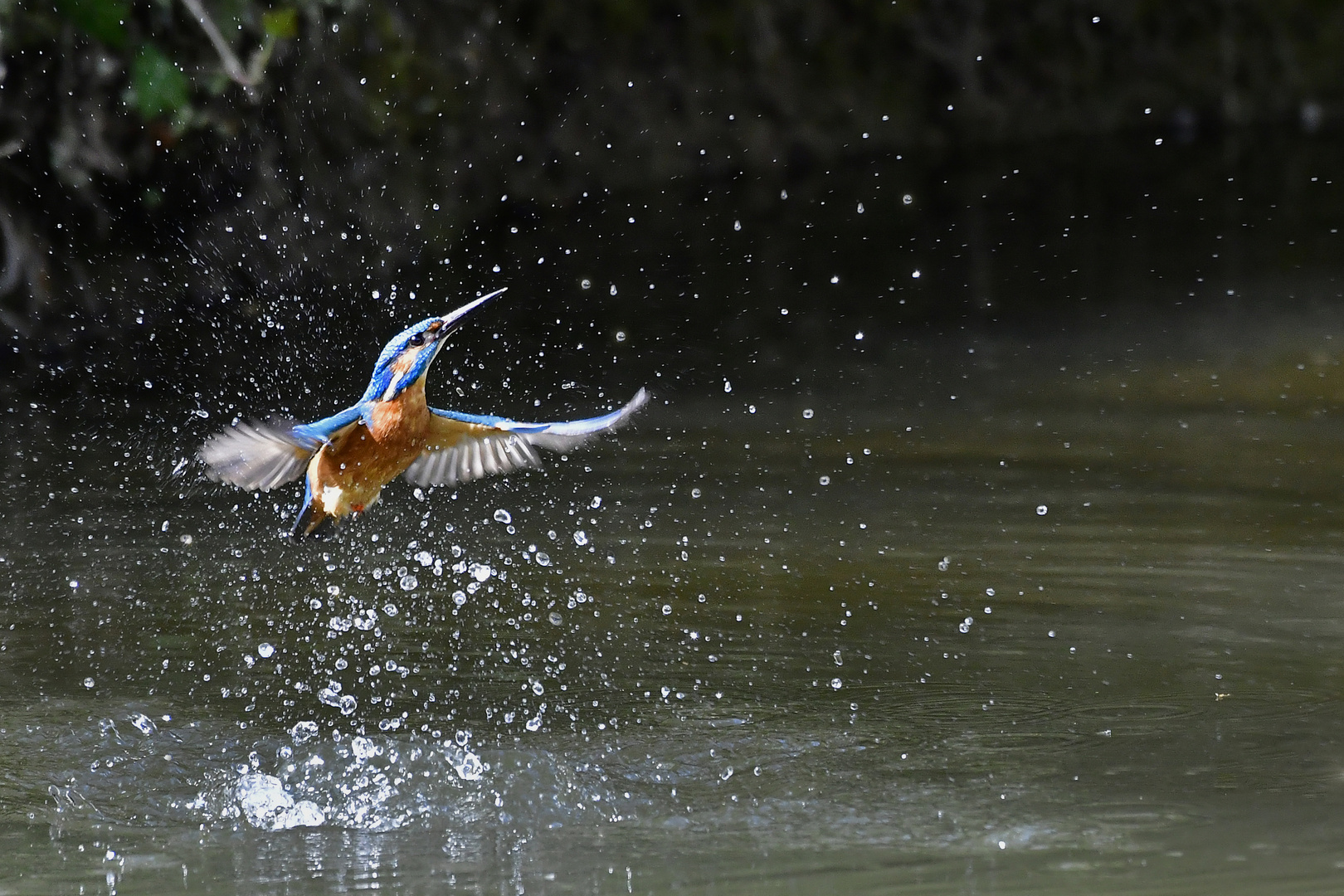 Sprung ins kalte Wasser