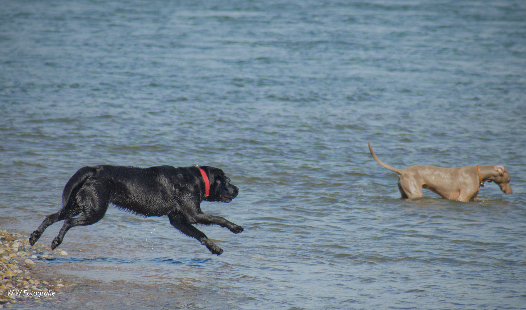 Sprung ins kalte Wasser