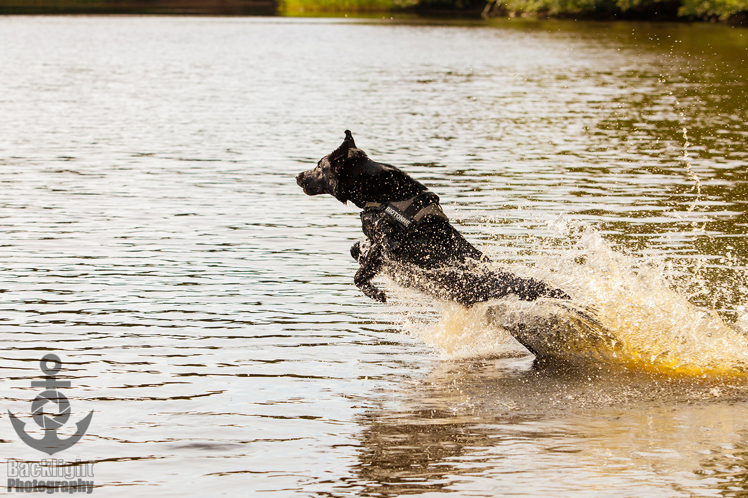 Sprung ins kalte Wasser