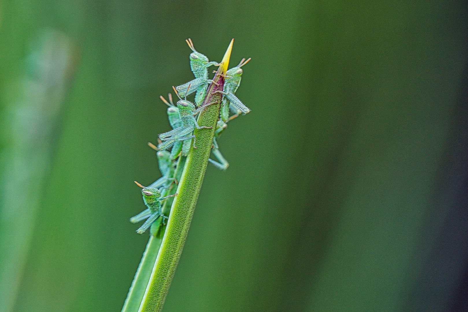 Sprung ins Leben