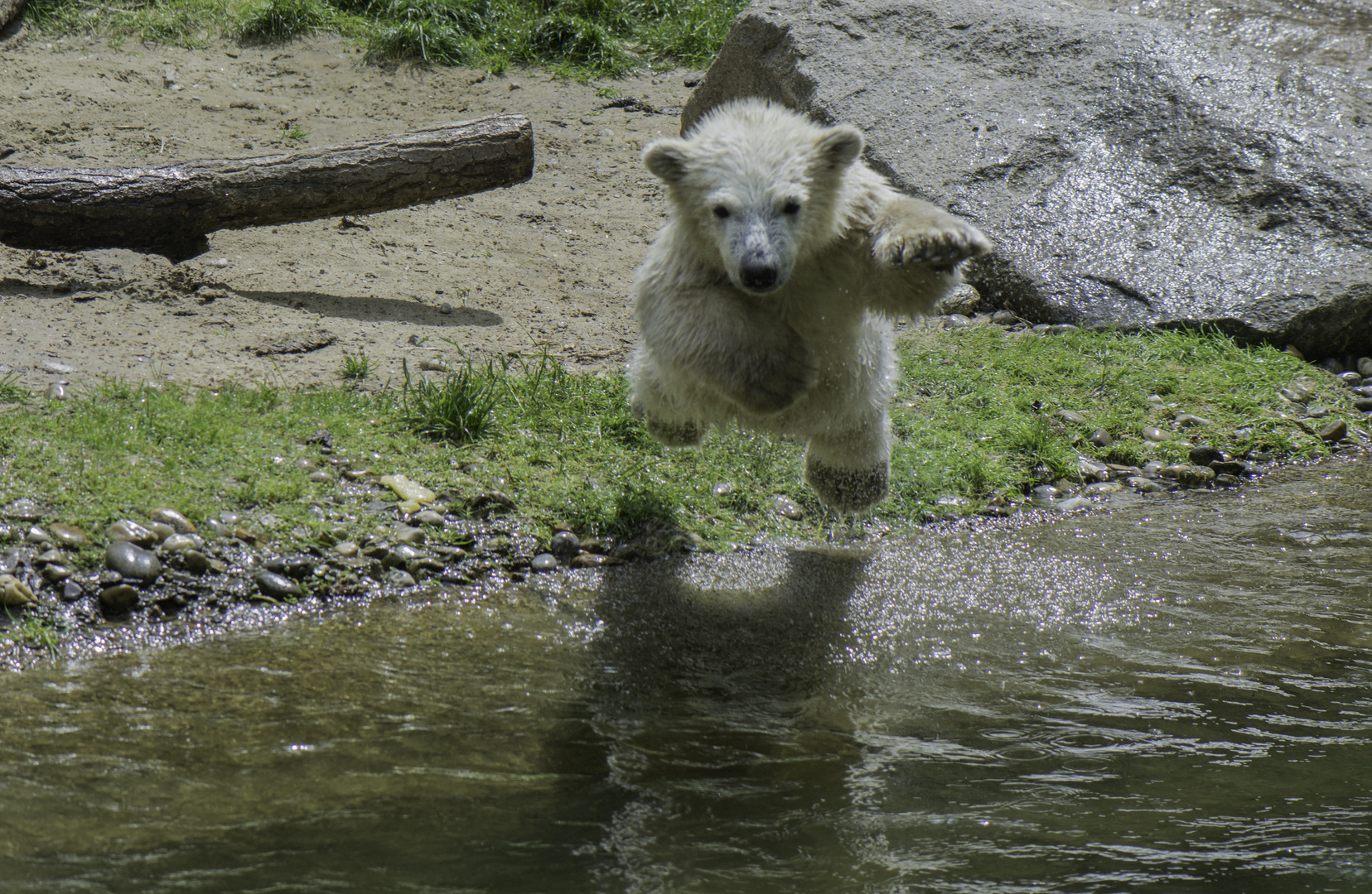 Sprung ins Nass