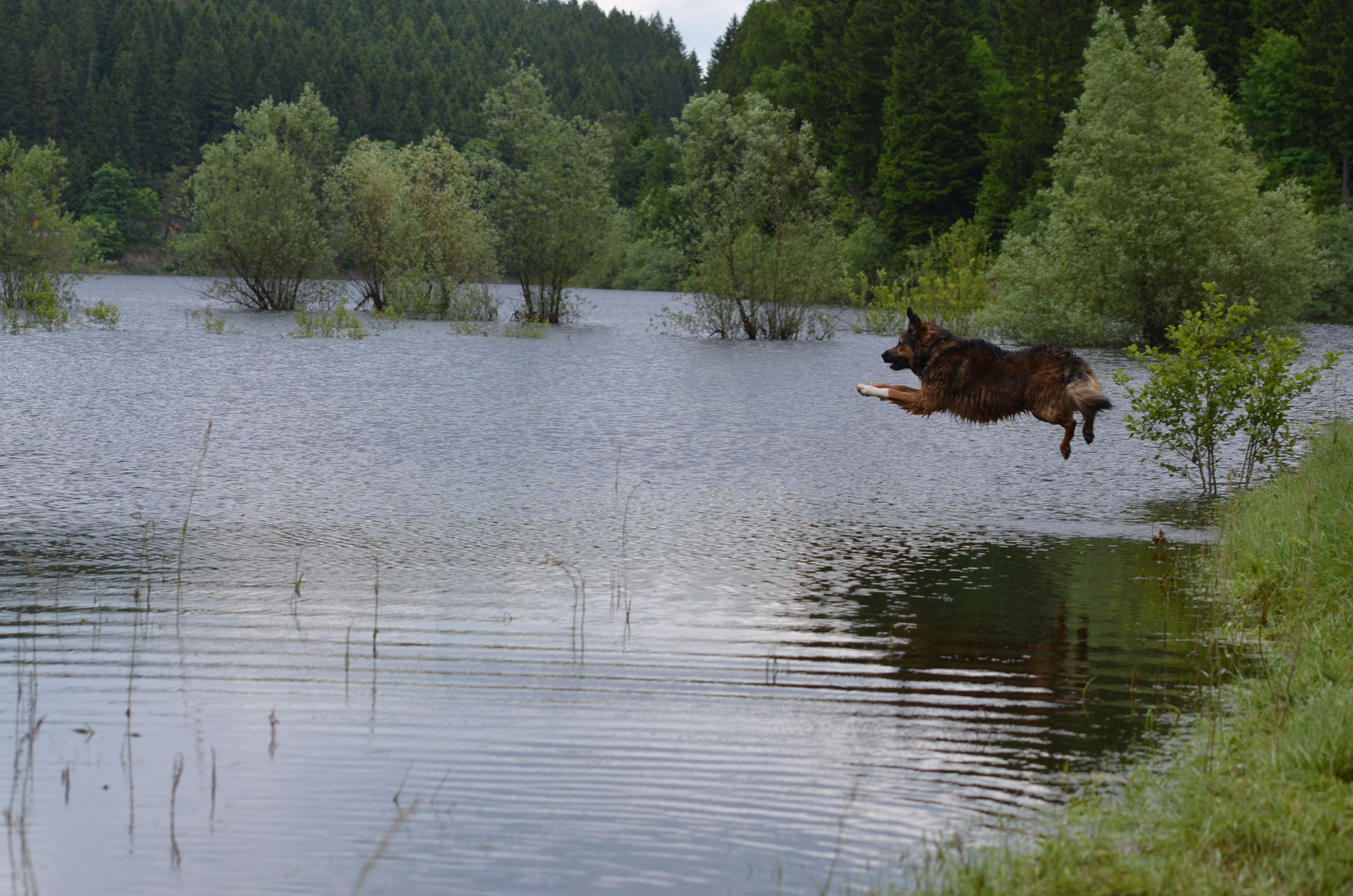 Sprung ins Wasser