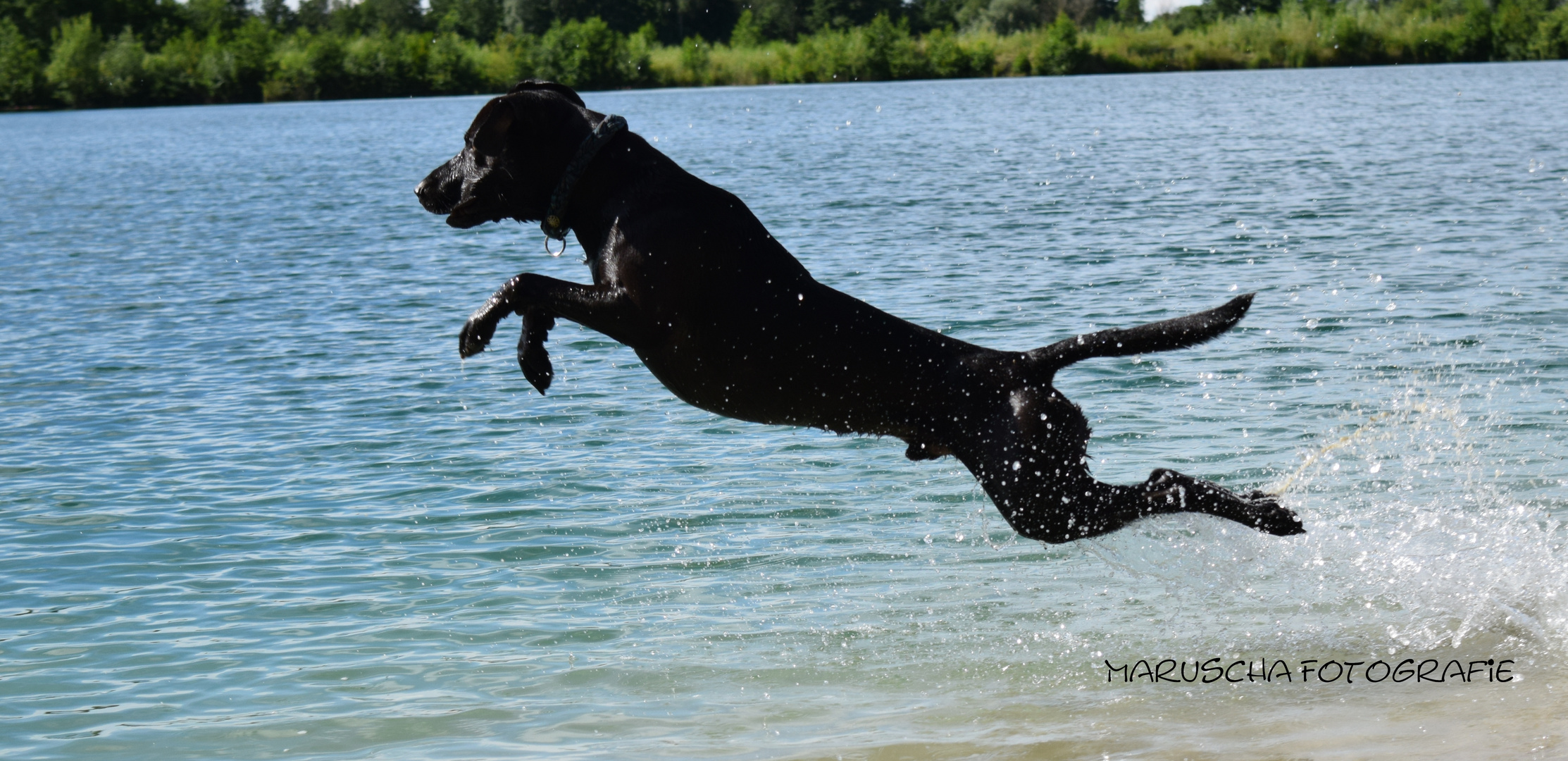 Sprung ins Wasser