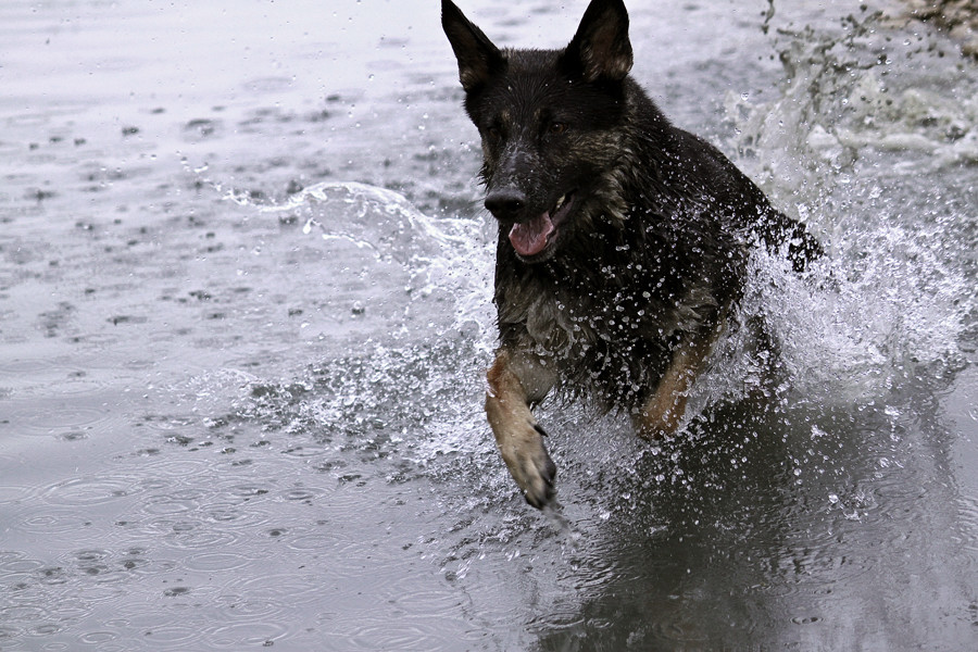 Sprung ins Wasser