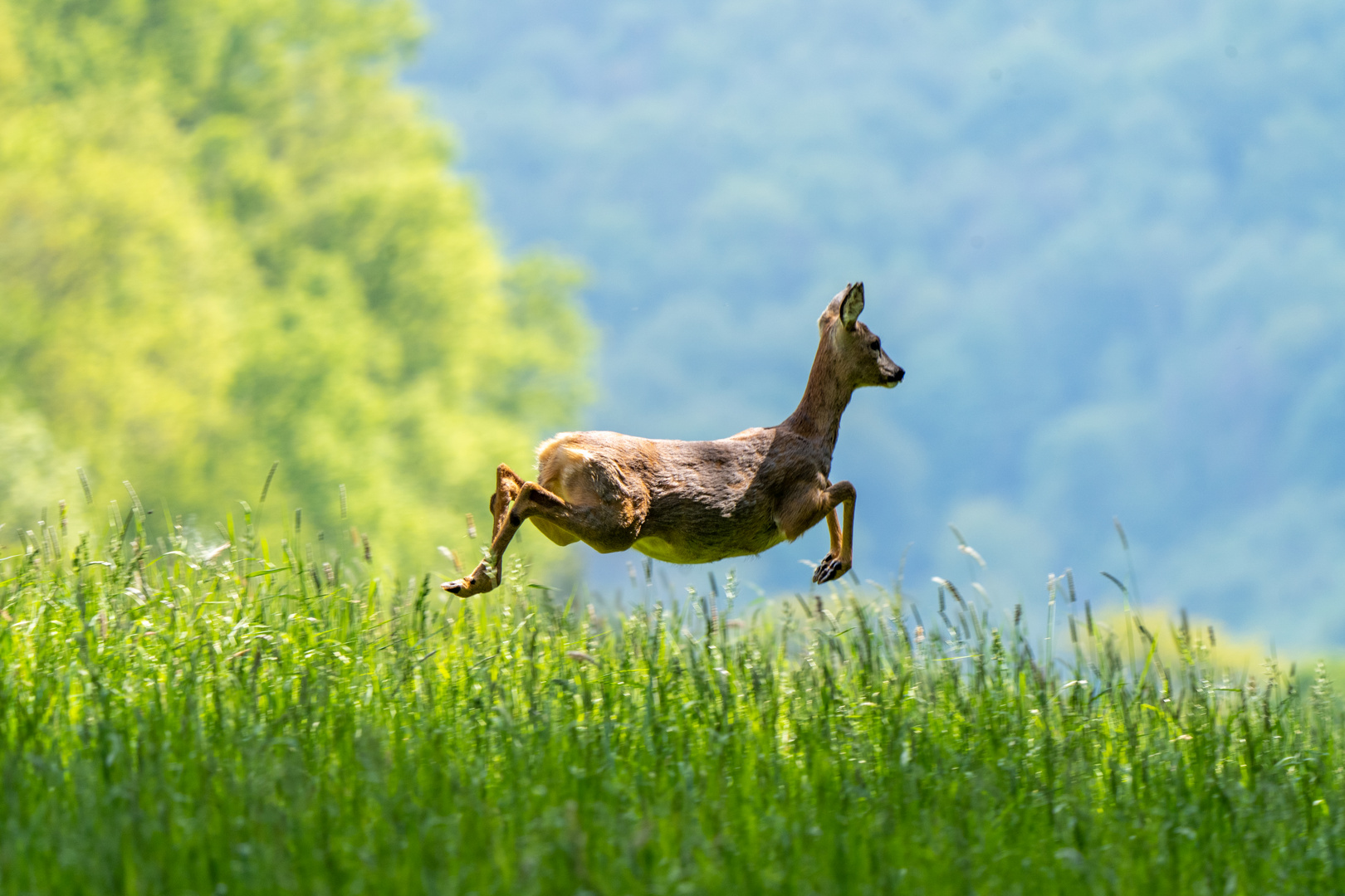 Sprung ins Wochenende