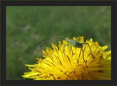 Sprung ins Wochenende